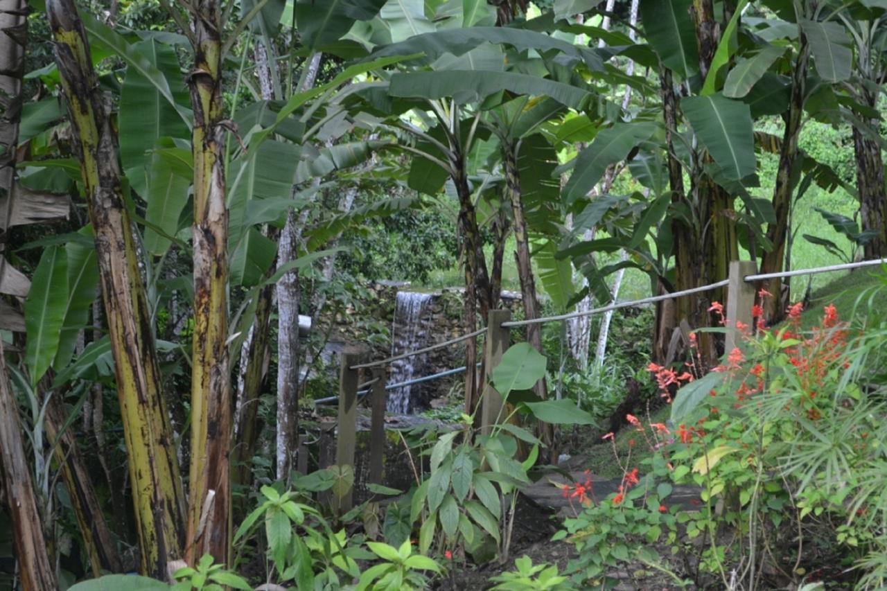 Sitio Alto Da Montanha - Voce Em Paz Com A Natureza Villa Pacoti Exterior foto