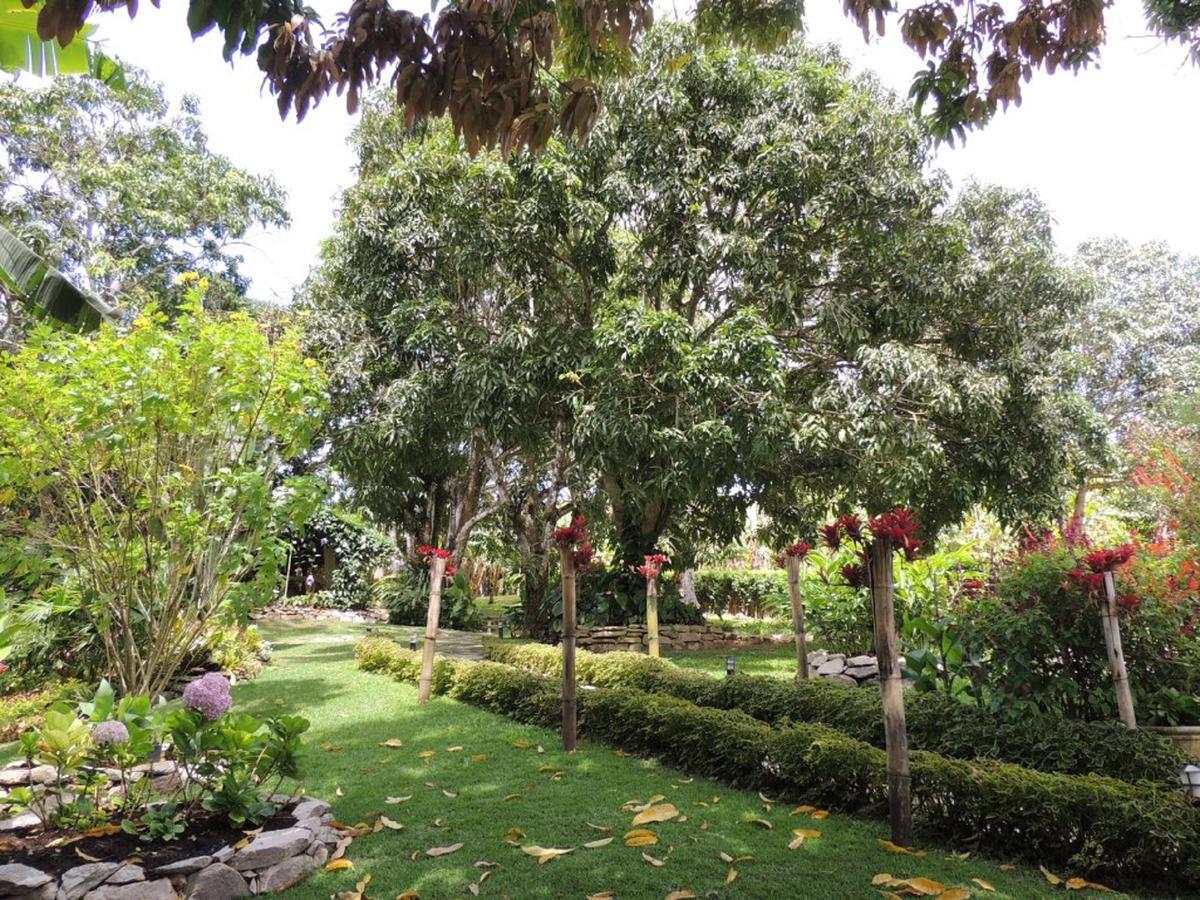 Sitio Alto Da Montanha - Voce Em Paz Com A Natureza Villa Pacoti Exterior foto