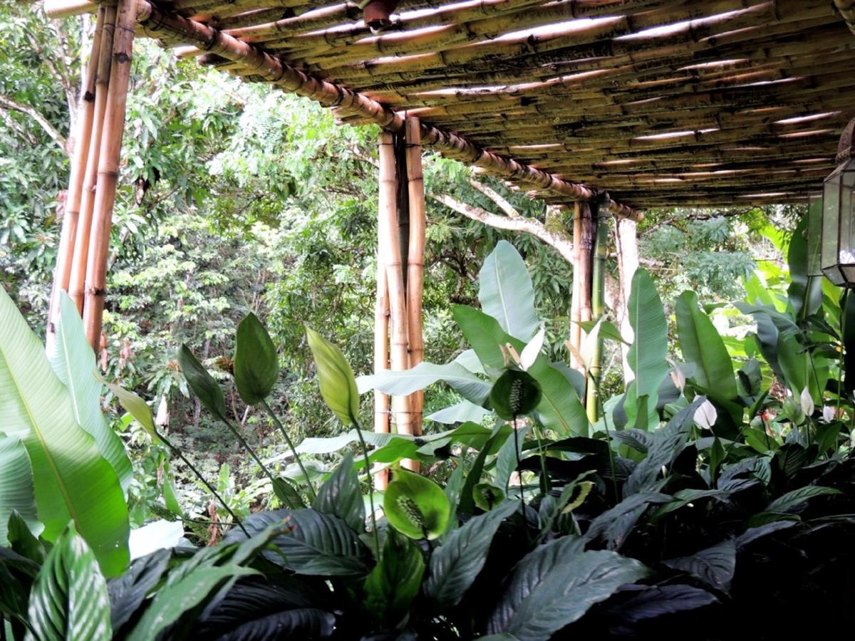 Sitio Alto Da Montanha - Voce Em Paz Com A Natureza Villa Pacoti Exterior foto