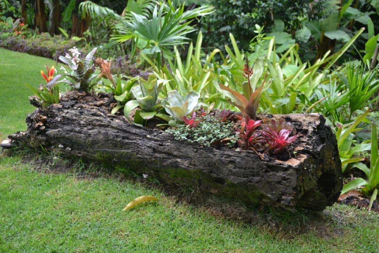 Sitio Alto Da Montanha - Voce Em Paz Com A Natureza Villa Pacoti Exterior foto