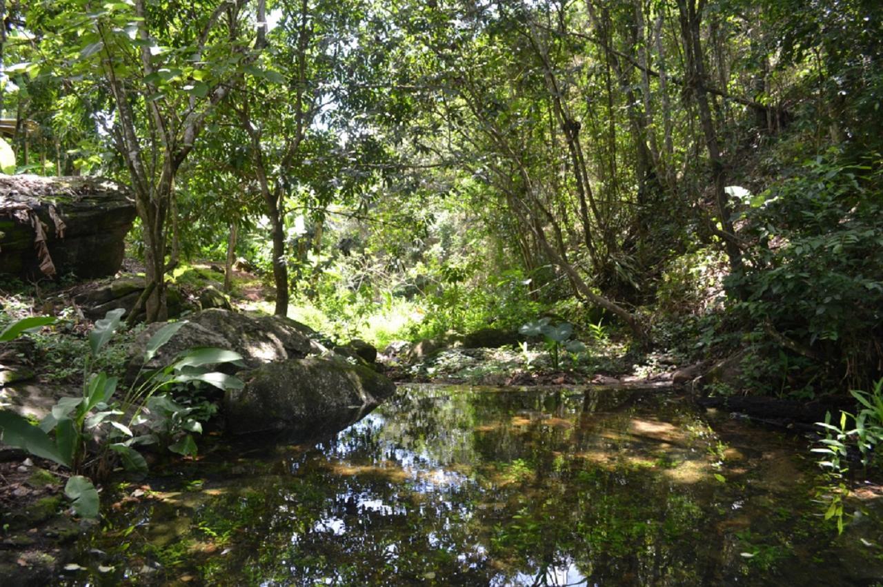 Sitio Alto Da Montanha - Voce Em Paz Com A Natureza Villa Pacoti Exterior foto